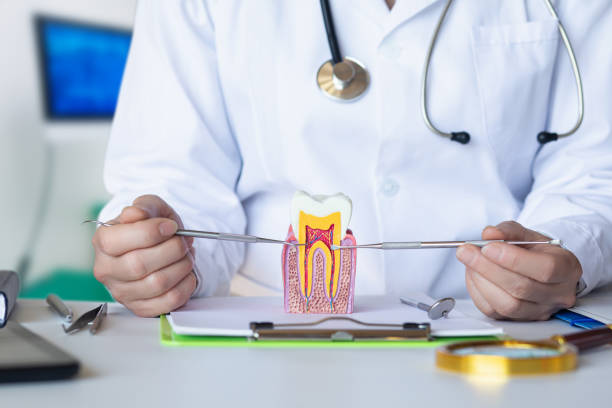 Best Emergency TMJ Treatment in Clendenin, WV